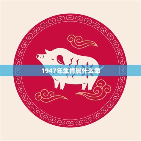 1947年属什么|1947年属什么生肖？1947年生肖属相是猪